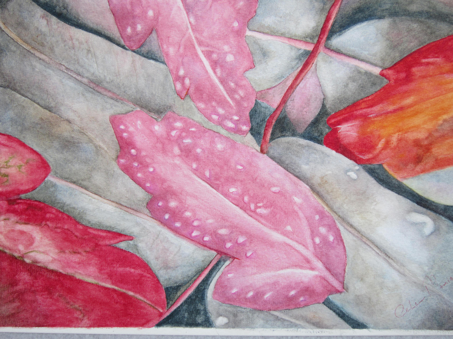 Aquarela - Celia Maria