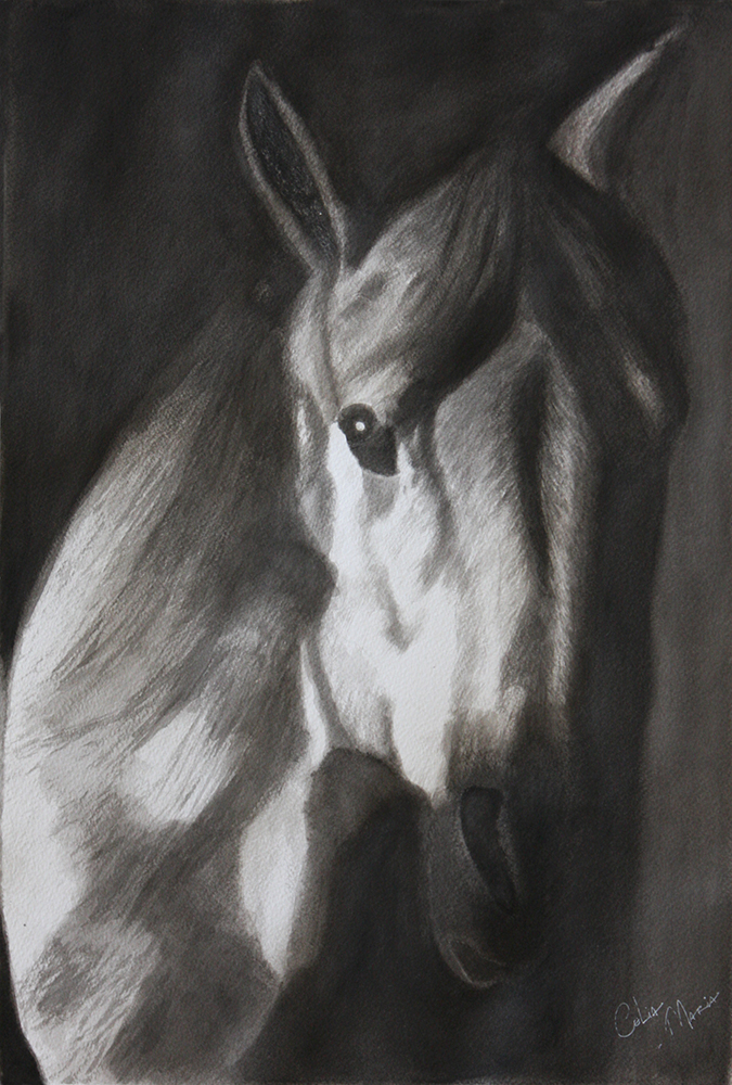 Acrílico sobre tela