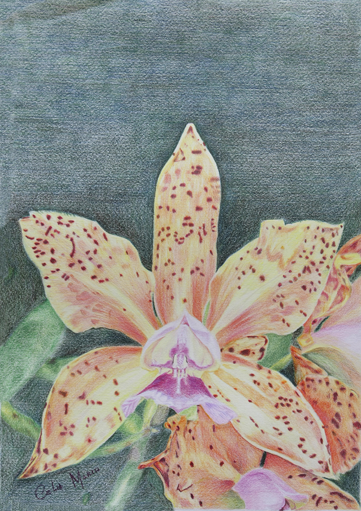 Acrílico sobre tela